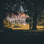 OnlyFans vlastnictví: Tajemství za miliardovým byznysem