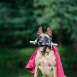 Vydělávejte na OnlyFans: 5 tajných triků pro okamžitý úspěch