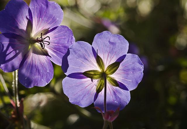 Jaké jsou důvody blokace účtu na Instagramu