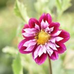 Jak poslat screenshot Snapchat: Bezpečné sdílení bez upozornění