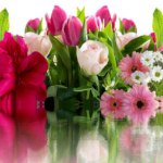 Jak na sociální sítě: Průvodce pro značky a influencery | InstaLike.cz 10 LinkedIn Narozeniny Kontaktů: Networkujte Jako Profík s Tímto Skrytým Nástrojem