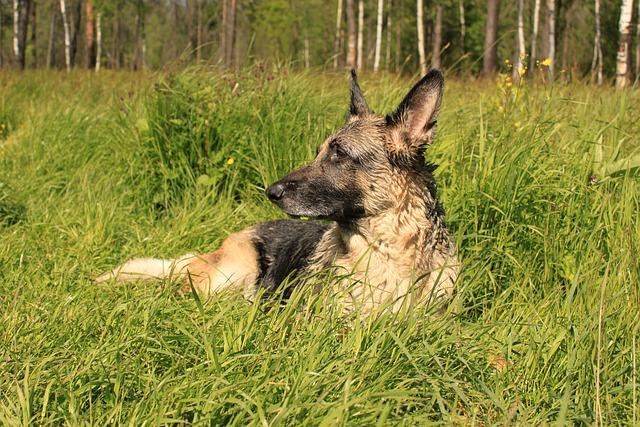 Přezdívka jako branding: Jak se spojit se svými sledujícími přes jméno