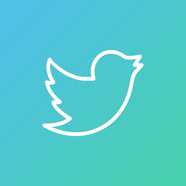 Úvod do​ Twitter Ads a jejich význam pro marketing