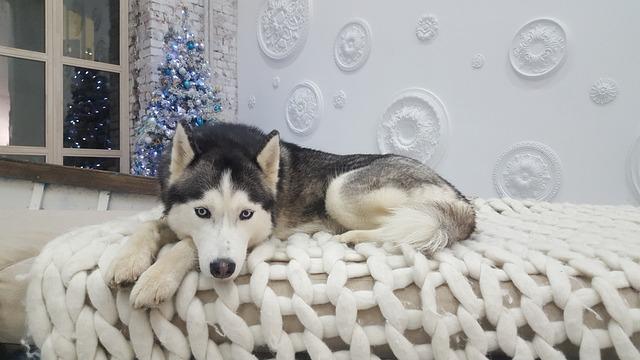 Jak na sociální sítě: Průvodce pro značky a influencery | InstaLike.cz 2 Zveřejňování fotek na Facebooku: Strategie vizuálního marketingu